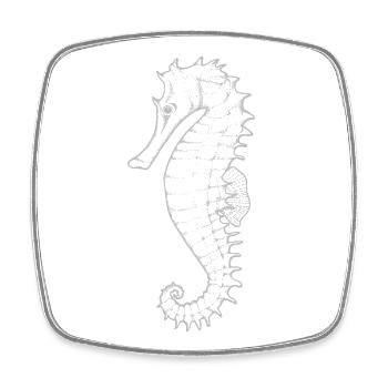 Seahorse Silhouette - Square fridge magnet - white - Front