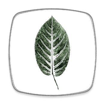 Beech Sheet / Leaf / GREEN - Square fridge magnet - white - Front