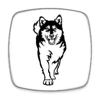 Malamute d’Alaska - Magnet carré - blanc - Devant