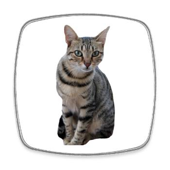 Katze Kätzchen - Viereckiger Kühlschrankmagnet - Weiß - Vorne