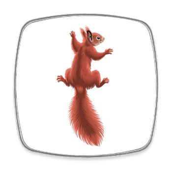 Süßes kletterndes rotes Eichhörnchen - Viereckiger Kühlschrankmagnet - Weiß - Vorne