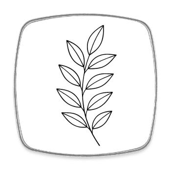 Blätterzweig Linienzeichnung - Viereckiger Kühlschrankmagnet - Weiß - Vorne