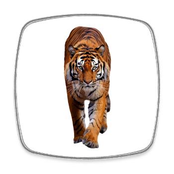 Tiger - Square fridge magnet - white - Front