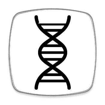 DNS - Viereckiger Kühlschrankmagnet - Weiß - Vorne