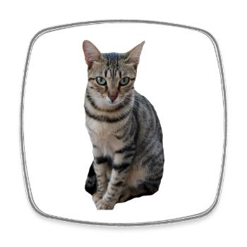 Chat chat chaton doux - Magnet carré - blanc - Devant