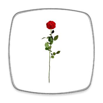 Blume Rose rote Rose - Viereckiger Kühlschrankmagnet - Weiß - Vorne