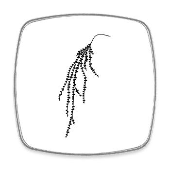 Hanging plant 2 - Viereckiger Kühlschrankmagnet - Weiß - Vorne