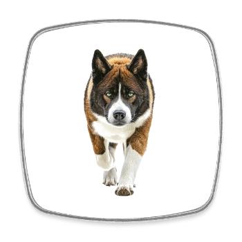 Akita - Viereckiger Kühlschrankmagnet - Weiß - Vorne