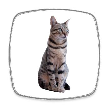 Katze Katzen Kätzchen Katzenshirt Geschenk - Viereckiger Kühlschrankmagnet - Weiß - Vorne