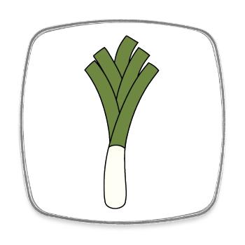 Leek - Square fridge magnet - white - Front