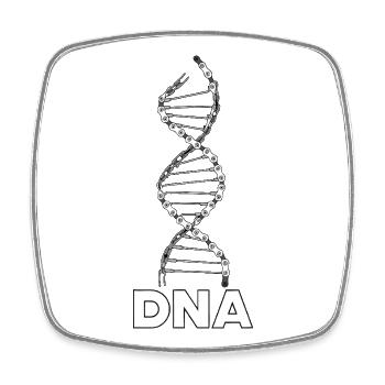 DNA - Viereckiger Kühlschrankmagnet - Weiß - Vorne