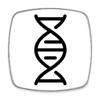 DNS - Viereckiger Kühlschrankmagnet - Weiß - Vorne