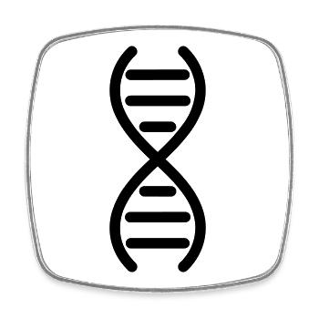 DNA-DNA-Doppelhelix - Viereckiger Kühlschrankmagnet - Weiß - Vorne