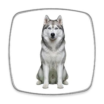 Eises, husky-blauäugiges Porträt - Viereckiger Kühlschrankmagnet - Weiß - Vorne