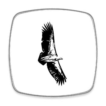 Vautour en vol - Magnet carré - blanc - Devant