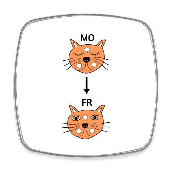 Monday to Friday - Square fridge magnet - white - Front