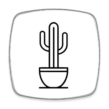 Cactus - Square fridge magnet - white - Front