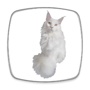 Maine coon weiß - Viereckiger Kühlschrankmagnet - Weiß - Vorne