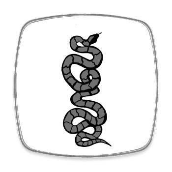 Snake Python grey - Square fridge magnet - white - Front