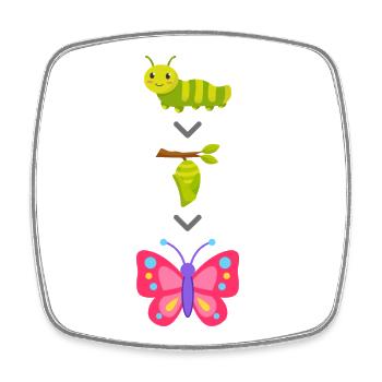 Transformation de chenille en papillon - Magnet carré - blanc - Devant