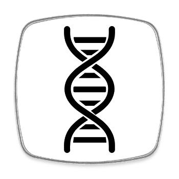 DNS - Viereckiger Kühlschrankmagnet - Weiß - Vorne
