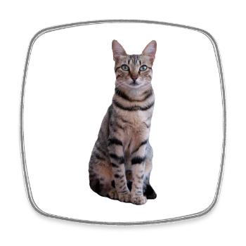 Katze Kätzchen Tigerkatze Katzenshirt Geschenk - Viereckiger Kühlschrankmagnet - Weiß - Vorne