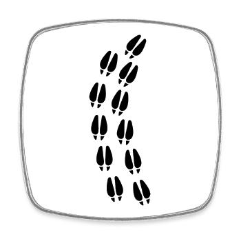 Deer hoof print - Square fridge magnet - white - Front