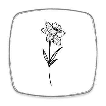 Narcissus, daffodil - Square fridge magnet - white - Front