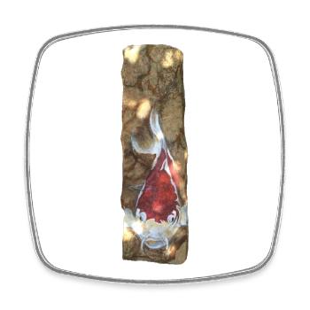Poissons koi sur marbre rustique - Magnet carré - blanc - Devant