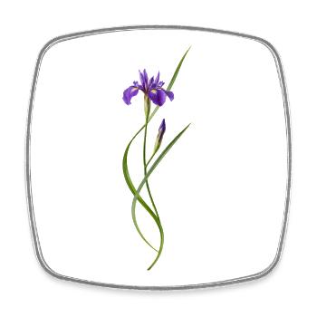 Iris in Japanese Zen style - Square fridge magnet - white - Front