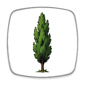 Forme d’arbre vert stylisé - Magnet carré - blanc - Devant