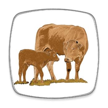 Kuh mit Kalb - Viereckiger Kühlschrankmagnet - Weiß - Vorne