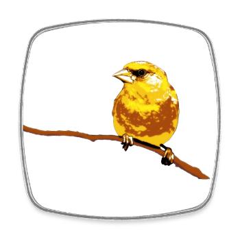 Greenfinch - Square fridge magnet - white - Front