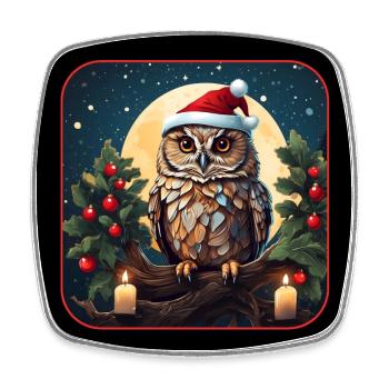 Mignon hibou avec chapeau de Père Noël assis sur une branche - Magnet carré - blanc - Devant