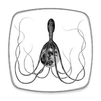 Poulpe, Poulpe avec Lune, Œuvre d’art vintage surréaliste - Magnet carré - blanc - Devant