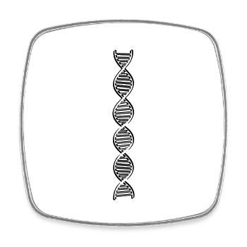 forschung dna dns genom gene wissenschaft wissensc - Viereckiger Kühlschrankmagnet - Weiß - Vorne