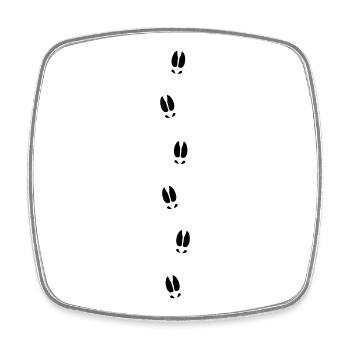 Moose tracks - Square fridge magnet - white - Front