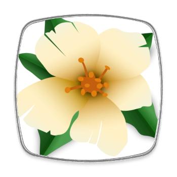 Hibiscus flower - Square fridge magnet - white - Front
