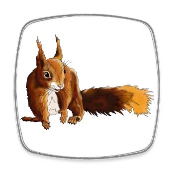 Eichhörnchen 5 - Viereckiger Kühlschrankmagnet - Weiß - Vorne