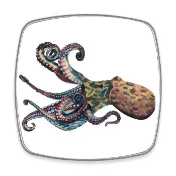 Octopus Squid - Square fridge magnet - white - Front