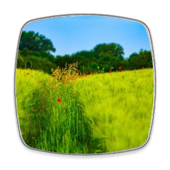 Dirt road in spring - Square fridge magnet - white - Front