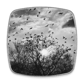 Bird flight in front of the sun - Square fridge magnet - white - Front