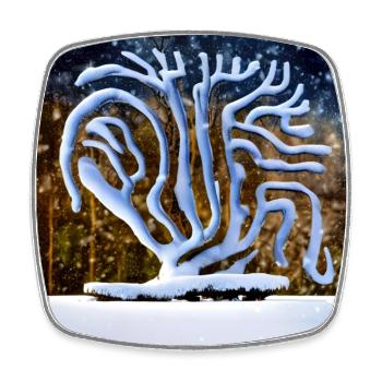 Alter Baum im Winter - Viereckiger Kühlschrankmagnet - Weiß - Vorne