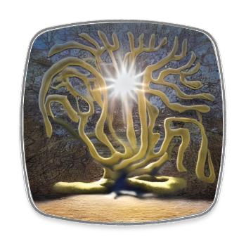 Baum steht in der Sonne - Viereckiger Kühlschrankmagnet - Weiß - Vorne