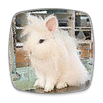 An adorable rabbit - Square fridge magnet - white - Front