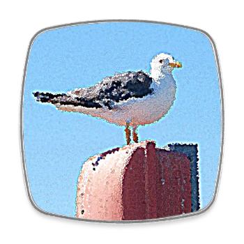 The eve of the brown gull - Square fridge magnet - white - Front