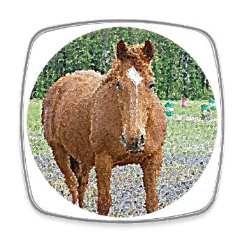 A Mare's Love - Square fridge magnet - white - Front