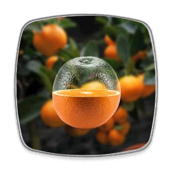 Juicy Orange - Viereckiger Kühlschrankmagnet - Weiß - Vorne