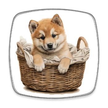 Little cute Akita Inu dog puppy in basket - Square fridge magnet - white - Front