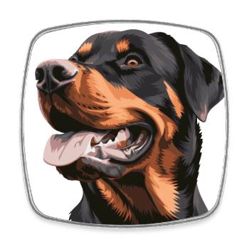 Chien Rottweiler - Magnet carré - blanc - Devant